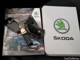  Skoda  Octavia  Break Business 2.0 TDI 115CV BVA7 E6d #12