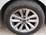  Audi  A3 AUDI  / 2020 / 5P / BERLINA 35 TDI S TRONIC BUSINESS S.BACK #17