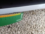  Audi  A3 AUDI  / 2020 / 5P / BERLINA 35 TDI S TRONIC BUSINESS S.BACK #37