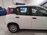  Fiat  Panda FIAT  / 2011 / 5P / BERLINA 1.0 70CV SeS HYBRID #53