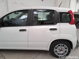  Fiat  Panda FIAT  / 2011 / 5P / BERLINA 1.0 70CV SeS HYBRID #83