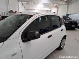  Fiat  Panda FIAT  / 2011 / 5P / BERLINA 1.0 70CV SeS HYBRID #100