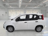  Fiat  Panda FIAT  / 2011 / 5P / BERLINA 1.0 70CV SeS HYBRID #8