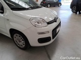  Fiat  Panda FIAT  / 2011 / 5P / BERLINA 1.0 70CV SeS HYBRID #34