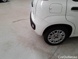  Fiat  Panda FIAT  / 2011 / 5P / BERLINA 1.0 70CV SeS HYBRID #51