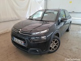 C4 Cactus
