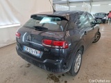 C4 Cactus