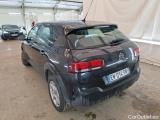 C4 Cactus