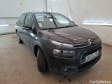 C4 Cactus
