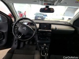 C4 Cactus