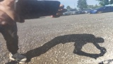  Bmw  X3 sDrive 18d MH48V Auto #46