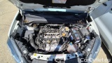  Fiat  Doblo MAXI LH1 BUSINESS 1.6 Mjet 105cv E6D S&S #15