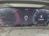  Skoda  Octavia  Combi (NX3)(2020) Oct.C.2.0TDI 110 4x4 Ambit AT #19