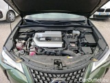  Lexus  UX 2.0 250H 2WD PACK CONFORT BUSINESS #25