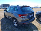  Skoda  Karoq  Business 1.6 TDI 115CV BVA7 E6dT #2