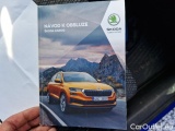  Skoda  Karoq  (NU)(2017->)  2.0TDI 110 4x4 Style AT #22