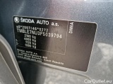  Skoda  Karoq  (NU)(2017->) Kar.2.0TSI 140 Sportlin 4x4 AT #10
