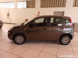  Fiat  Panda FIAT  / 2011 / 5P / BERLINA 1.0 FIREFLY 70CV SeS HYBRID #8
