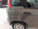  Fiat  Panda FIAT  / 2011 / 5P / BERLINA 1.0 FIREFLY 70CV SeS HYBRID #49