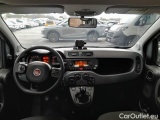  Fiat  Panda FIAT  / 2011 / 5P / BERLINA 1.3 MJT 95CV SeS E6 4X4 #3