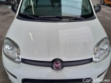  Fiat  Panda FIAT  / 2011 / 5P / BERLINA 1.3 MJT 95CV SeS E6 4X4 #29