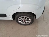  Fiat  Panda FIAT  / 2011 / 5P / BERLINA 1.2 69CV SeS E6D-TEMP LOUNGE #19