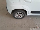  Fiat  Panda FIAT  / 2011 / 5P / BERLINA 1.2 69CV SeS E6D-TEMP LOUNGE #103
