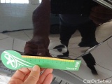  Ford  Kuga FORD  / 2019 / 5P / SUV 1.5 ECOBLUE 120CV 2WD CONNECT AUTO #41