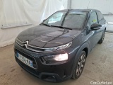 C4 Cactus