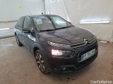 C4 Cactus