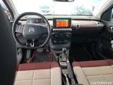 C4 Cactus