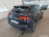 C4 Cactus