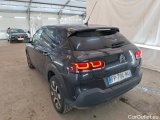 C4 Cactus