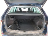 Skoda  Kodiaq  Business 1.5 TSI 150CV BVA7 E6d #10