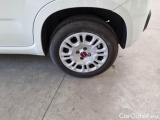  Fiat  Panda FIAT  / 2011 / 5P / BERLINA 1.2 69CV E6D-TEMP EASY #19