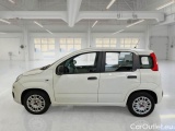  Fiat  Panda FIAT  / 2011 / 5P / BERLINA 1.2 69CV E6D-TEMP EASY #8