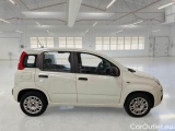  Fiat  Panda FIAT  / 2011 / 5P / BERLINA 1.2 69CV E6D-TEMP EASY #7