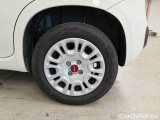  Fiat  Panda FIAT  / 2011 / 5P / BERLINA 1.2 69CV E6D-TEMP EASY #19