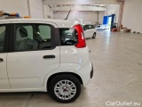  Fiat  Panda FIAT  / 2011 / 5P / BERLINA 1.2 69CV E6D-TEMP EASY #49