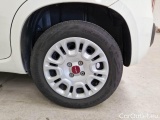 Fiat  Panda FIAT  / 2011 / 5P / BERLINA 1.2 69CV E6D-TEMP EASY #70