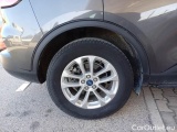  Ford  Kuga FORD  / 2019 / 5P / SUV 1.5 ECOBLUE 120CV 2WD TITANIUM BUS. AUTO #18