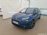 C4 Cactus