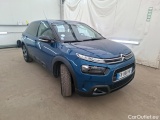 C4 Cactus
