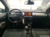 C4 Cactus