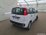  Fiat  Panda  Easy 1.2 70CV BVM5 E6 / TRANSFO VP/VF #3