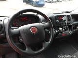 Ducato