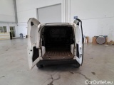 Fiorino