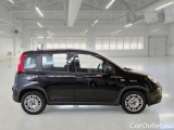  Fiat  Panda FIAT  / 2011 / 5P / BERLINA 1.0 FIREFLY 70CV SeS HYBRID #7