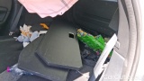  Nissan  Qashqai 1.3 MHEV 158 N-Connecta Xtronic #11