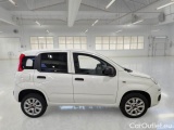  Fiat  Panda FIAT  / 2012 / 5P / BERLINA 900CC NATURAL POWER EURO6D VAN 2 P. POP #7